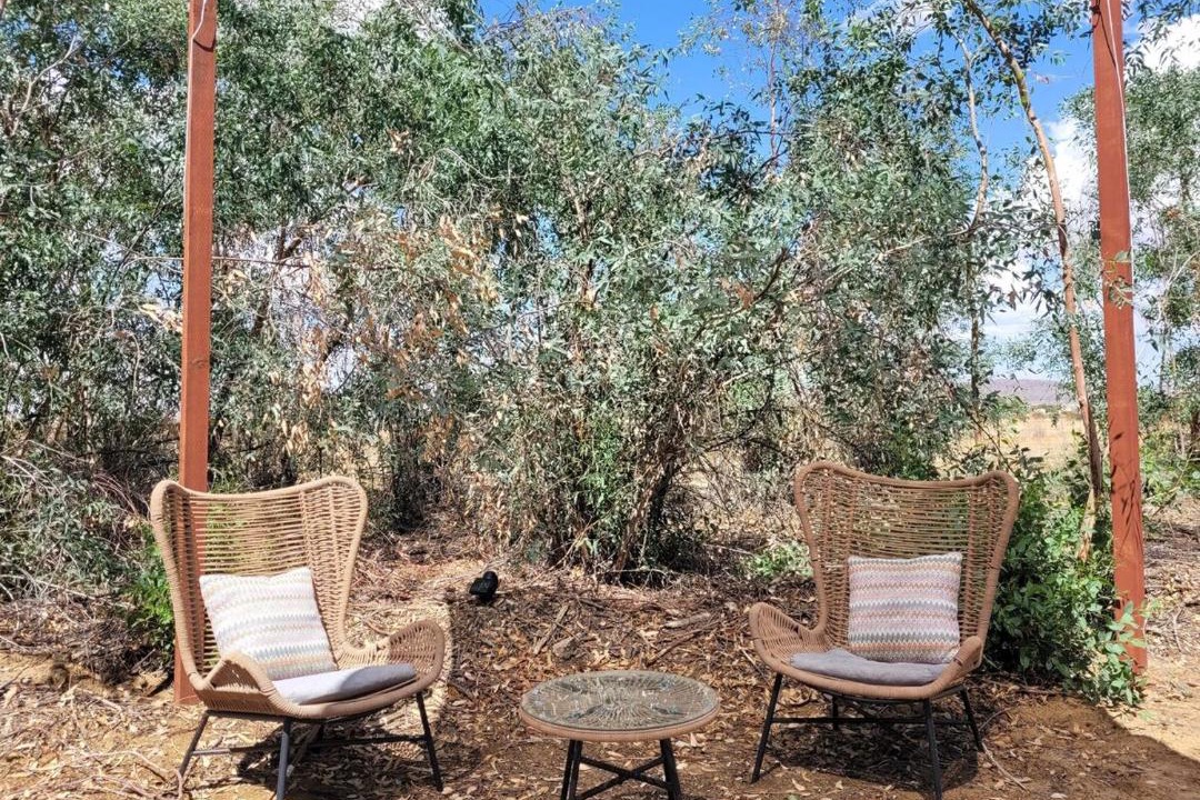 Photo of Others in Joshua Tree