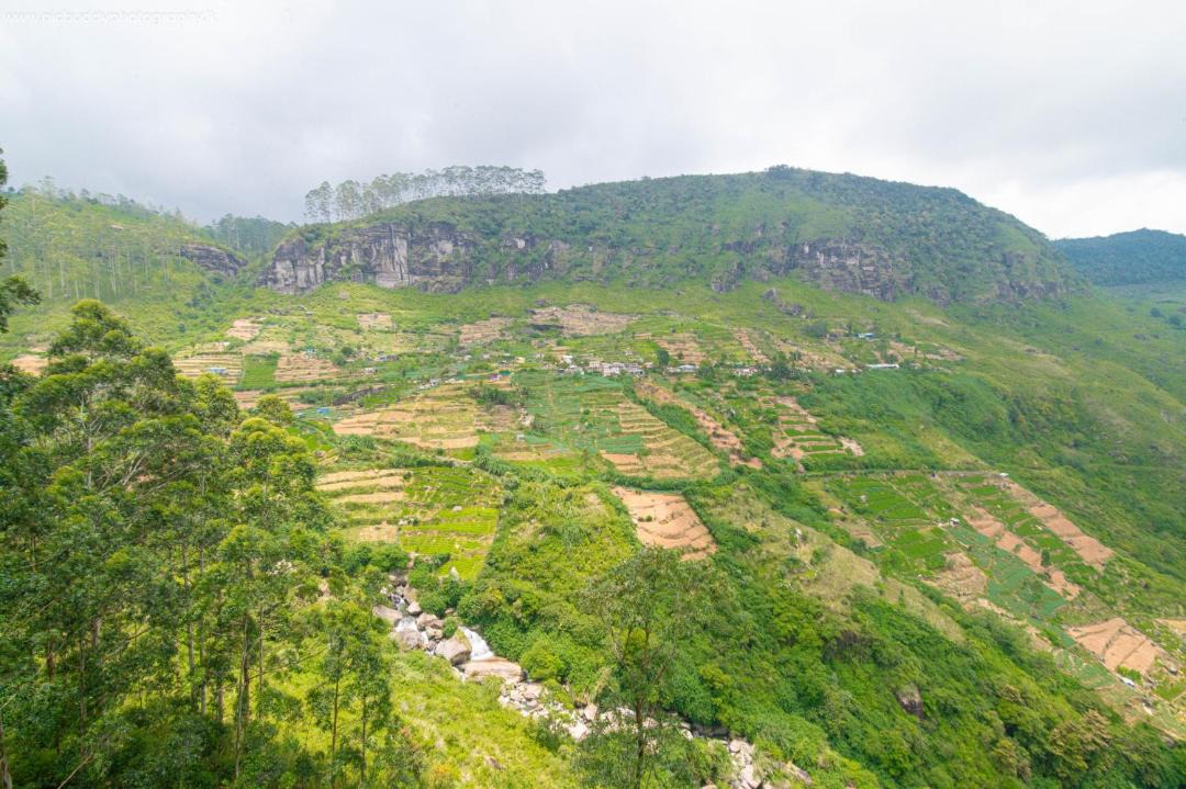 Photo of Others in Katukitula