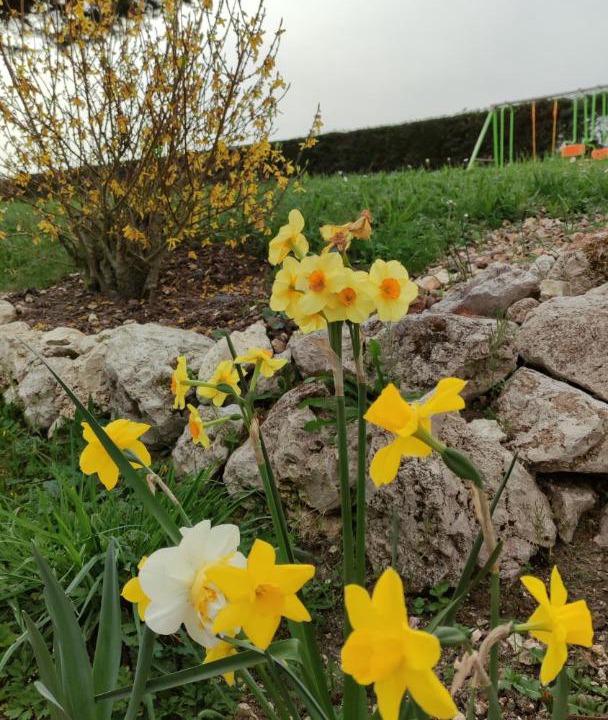 Photo of Outdoor in Saint-Georges-sur-Cher