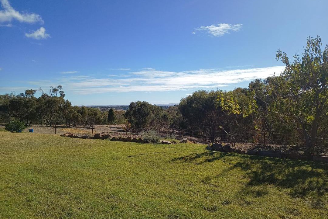 Photo of Others in Barossa Goldfields
