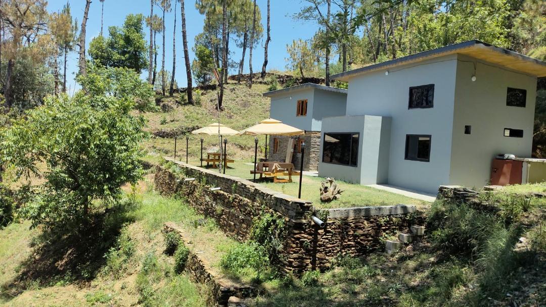 Photo of Others in Almora