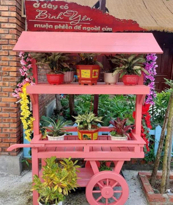 Photo of Others in Quang Dien