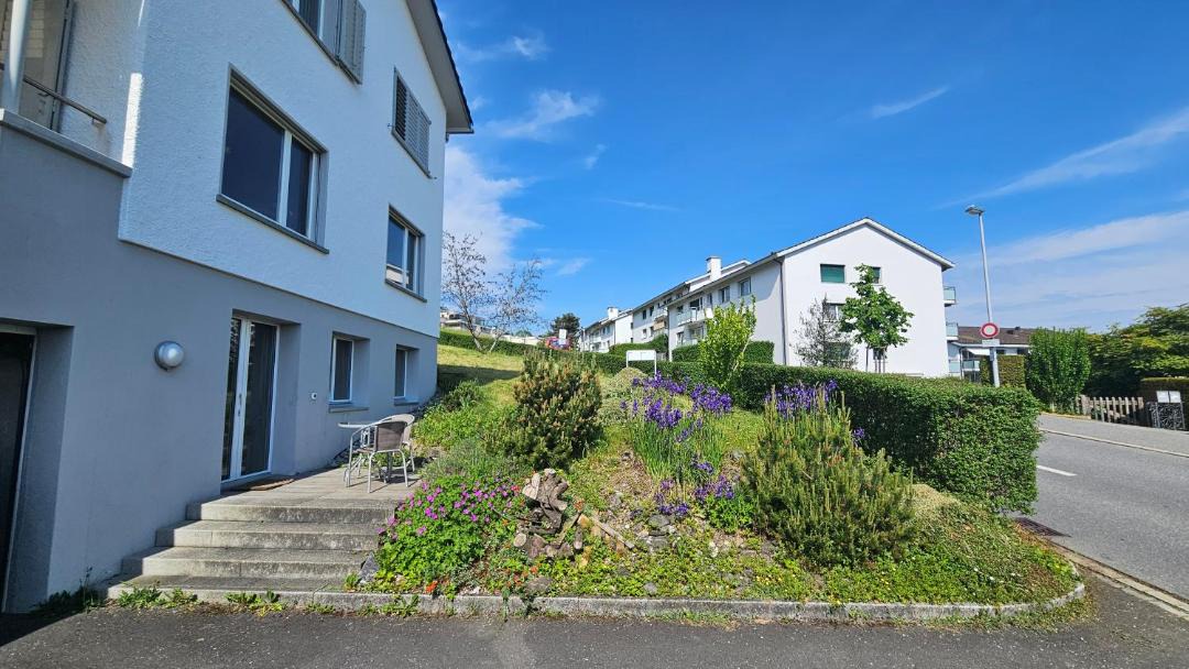 Photo of Others in Horgen District