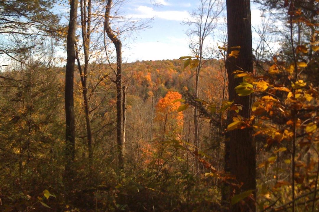 Photo of Others in Mehoopany