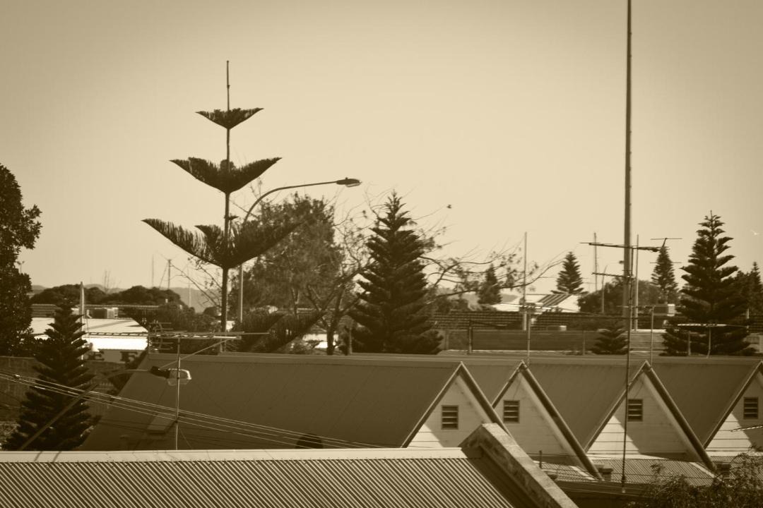Photo of Others in Fremantle