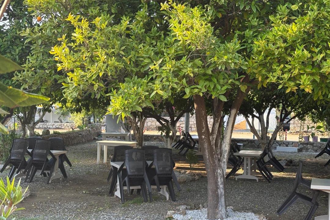 Photo of Others in Selimiye