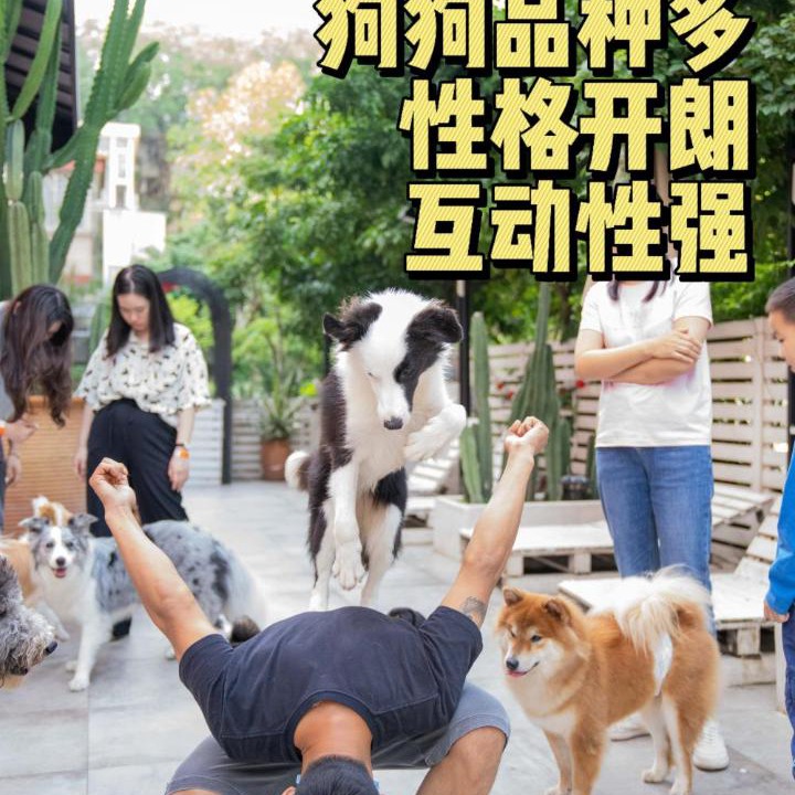 Photo of Others in Nanshan