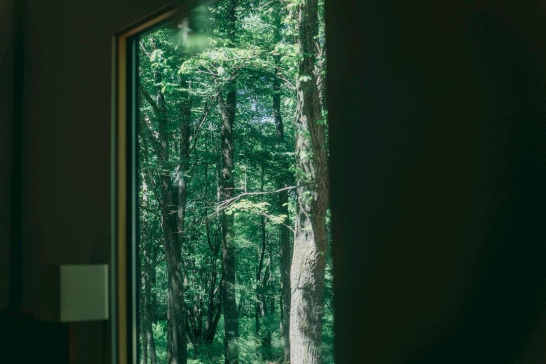 Photo of Others in Tsumagoi