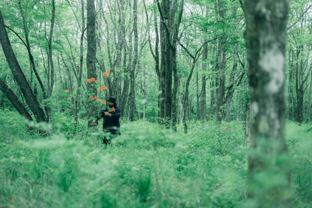 Photo of Human In Picture in Tsumagoi