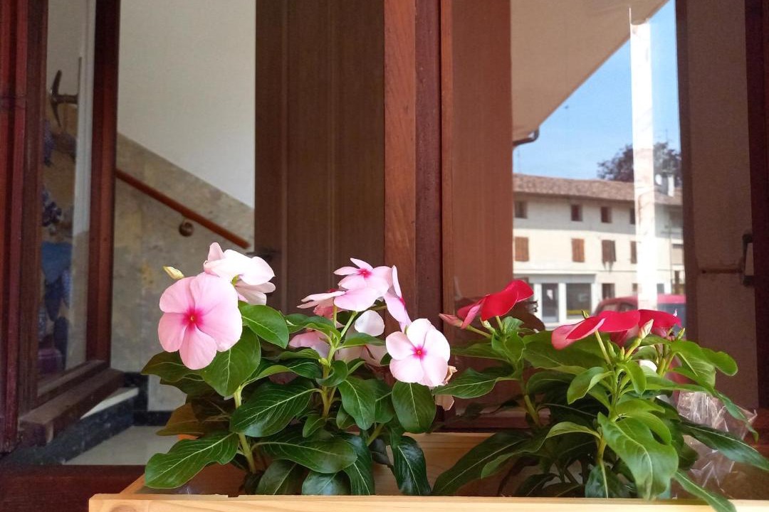 Photo of Patio Balcony in San Vito al Tagliamento