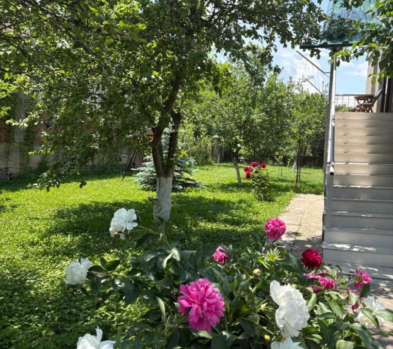 Photo of Outdoor in Stepanavan