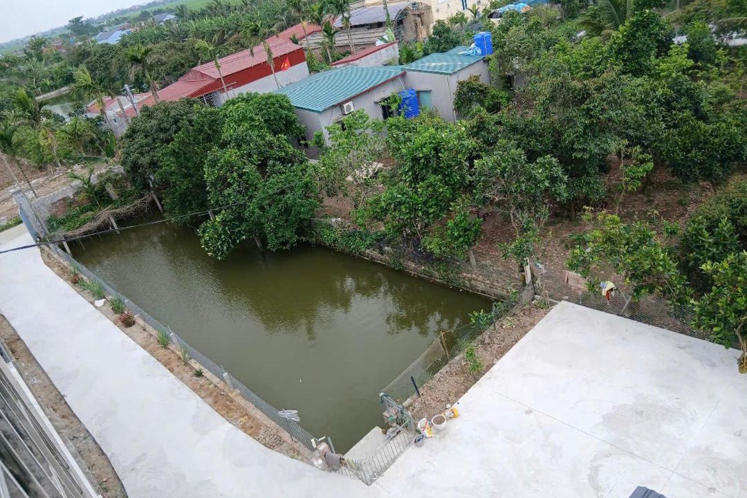 Photo of Others in Thai Thuy