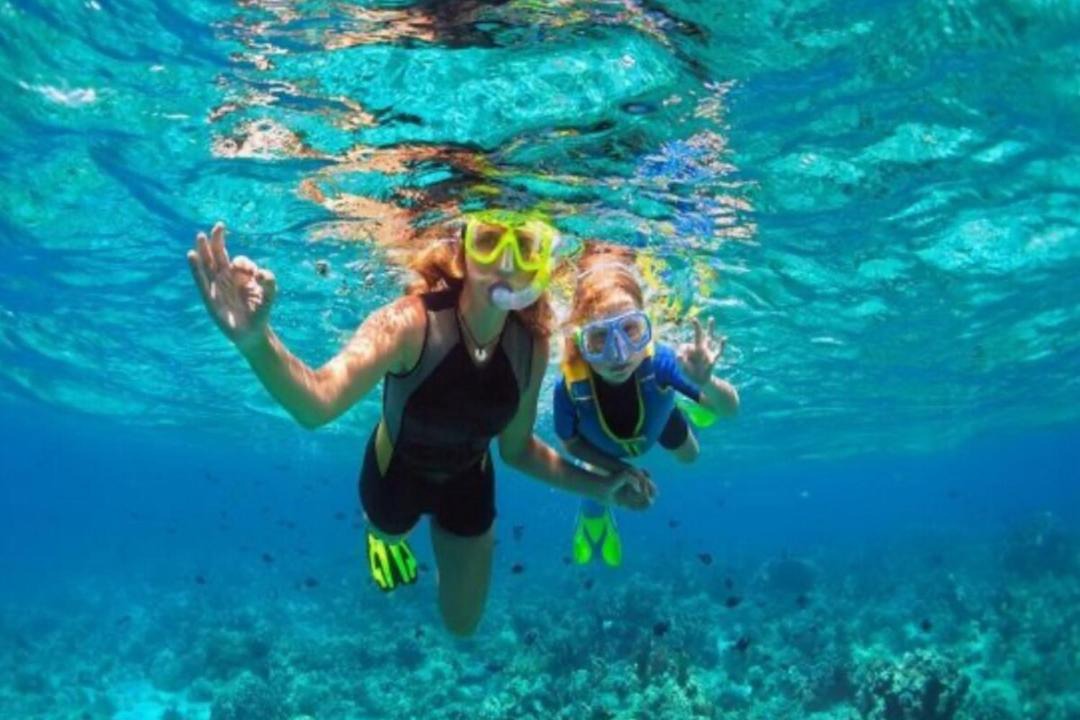 Photo of Human In Picture in Key Largo