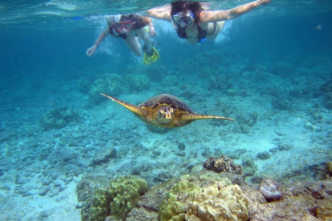 Photo of Others in Key Largo