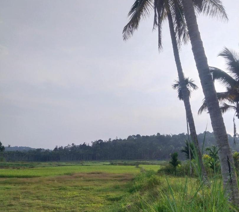 Photo of Others in Meenangadi