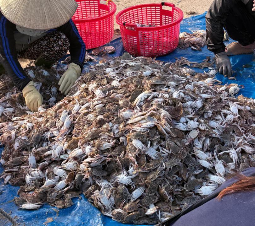Photo of Outdoor in Mang Yang