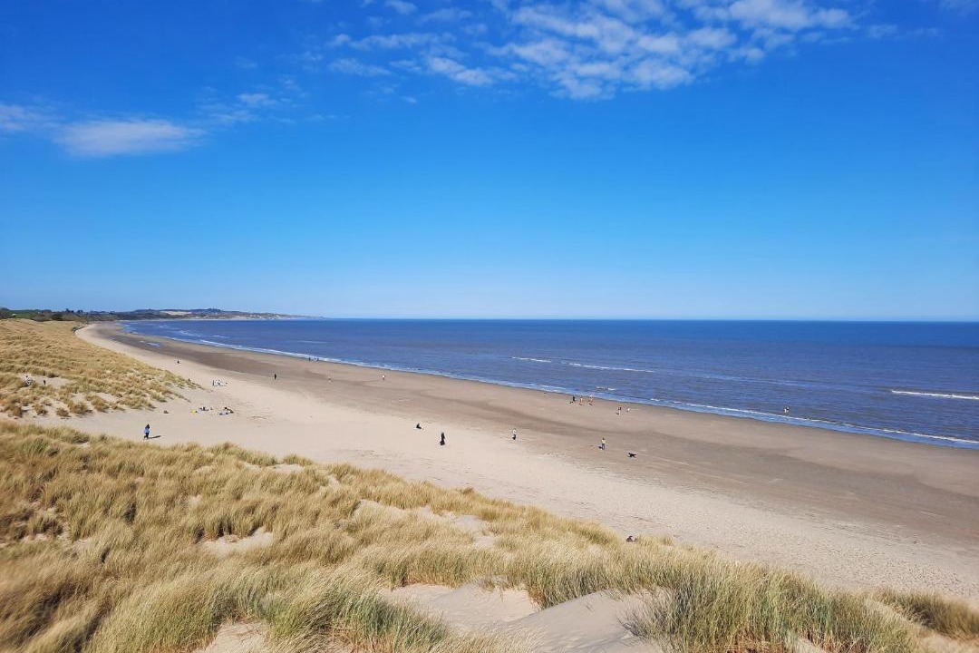 Photo of Others in Curracloe