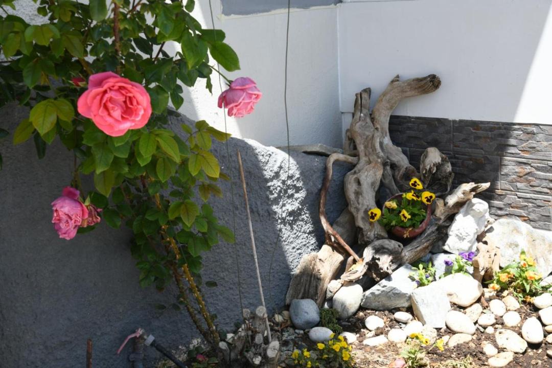Photo of Others in Serres