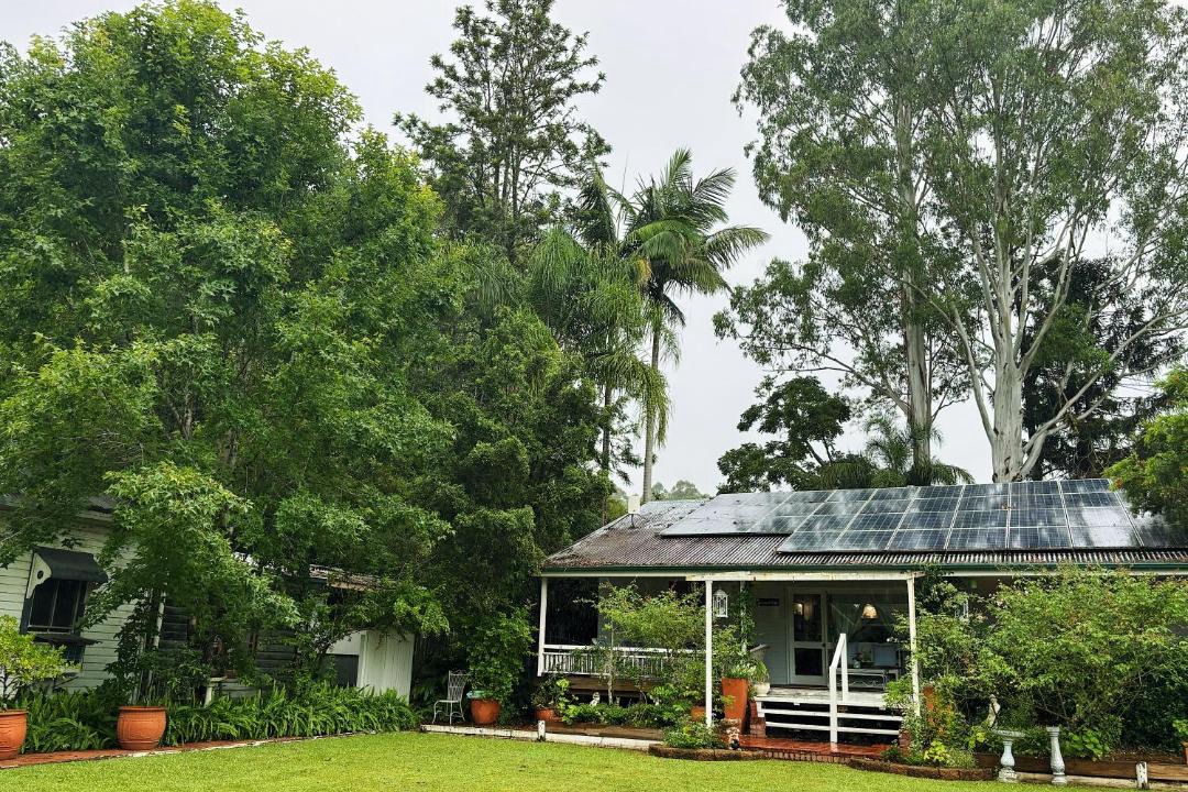 Photo of Others in Tyalgum