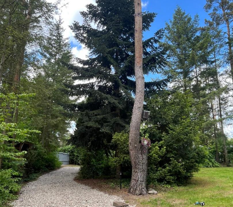 Photo of Outdoor in Milmersdorf