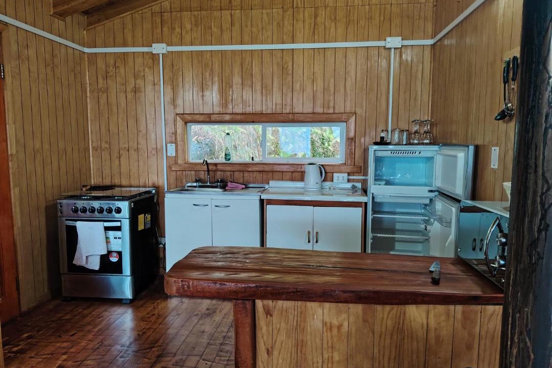 Photo of Kitchen in Puerto Octay