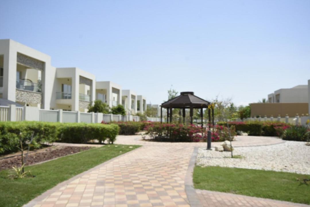 Photo of Others in Mina Al Arab