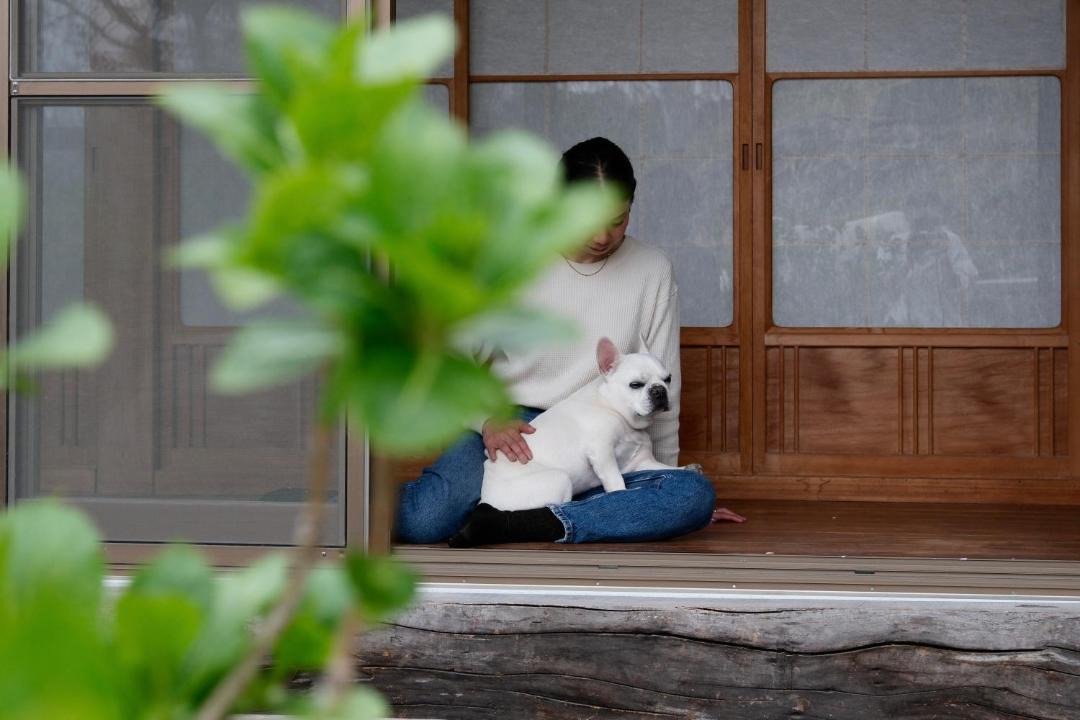 Photo of Others in Sakurai