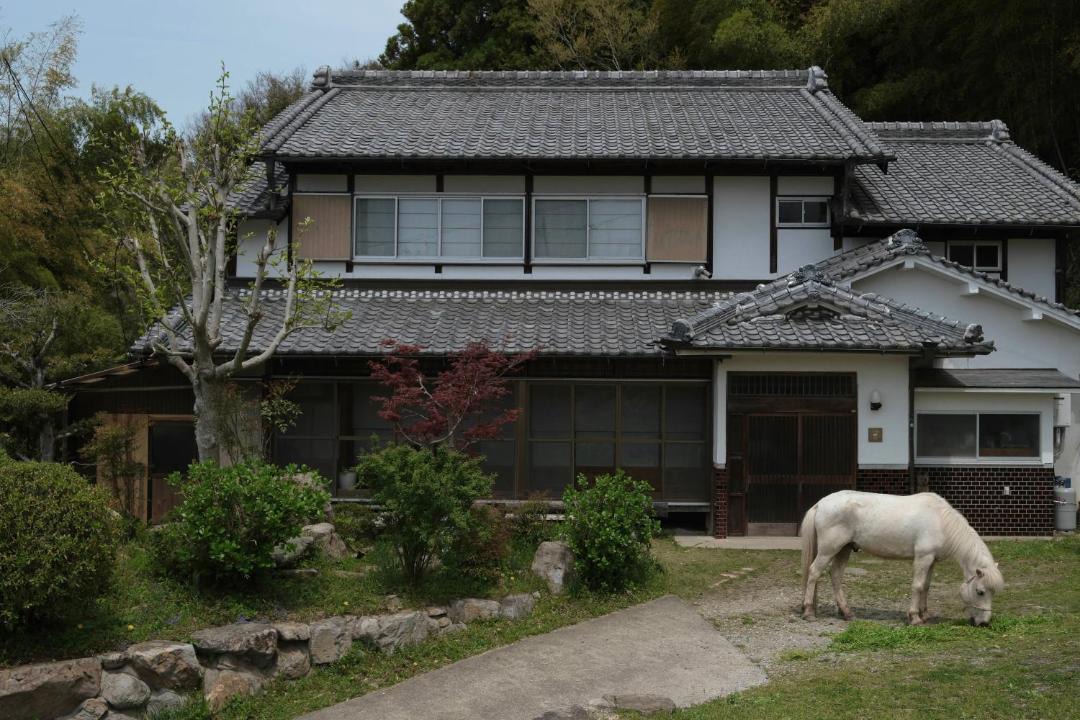 Photo of Others in Sakurai
