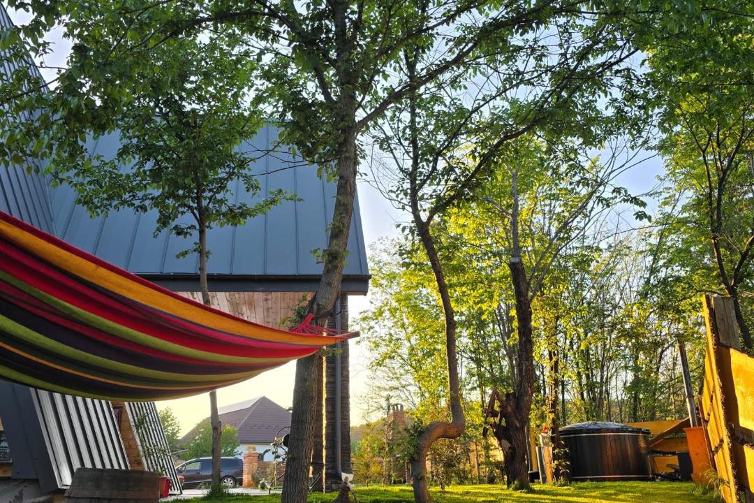 Photo of Outdoor in Vernesti