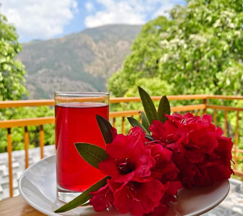 Photo of Patio Balcony in Kanatal