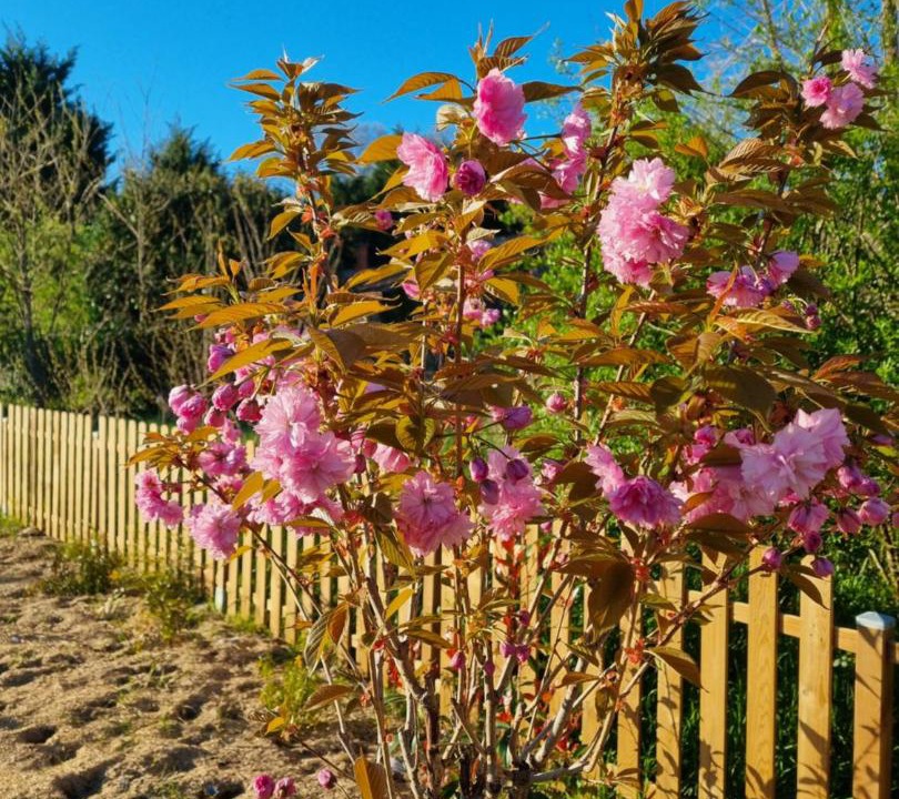Photo of Outdoor in Preignac