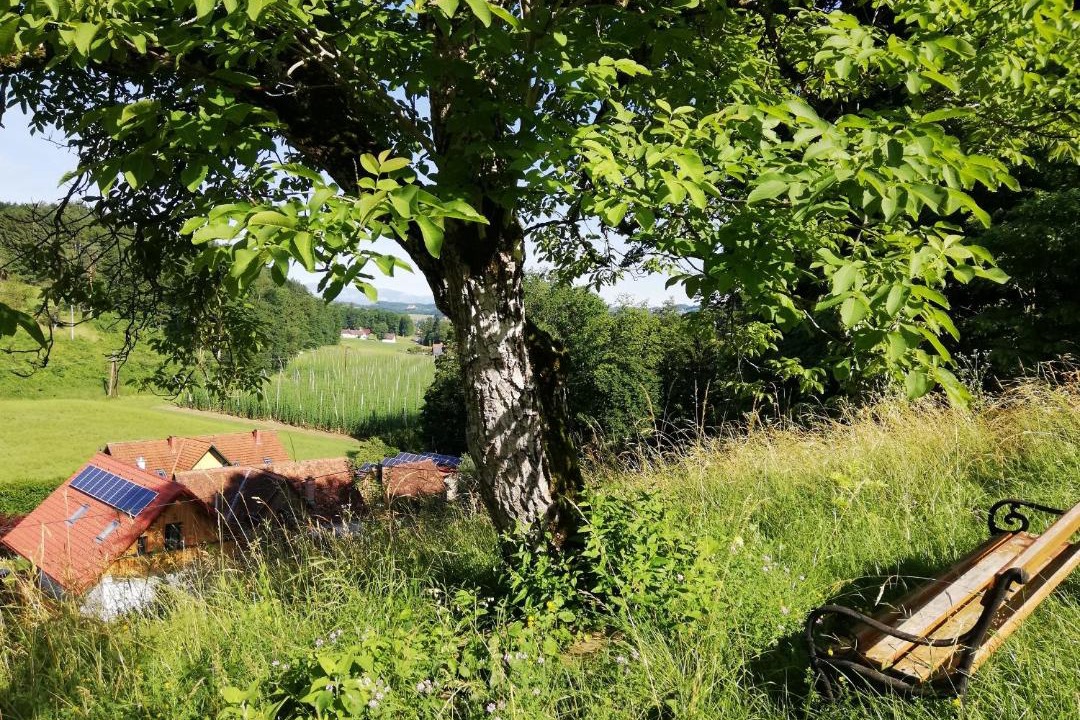 Photo of Others in Fotschach