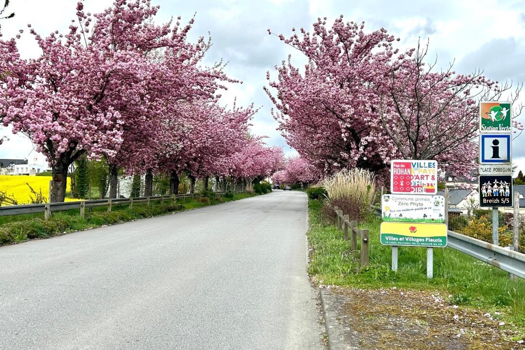 Photo of Others in Cleguerec