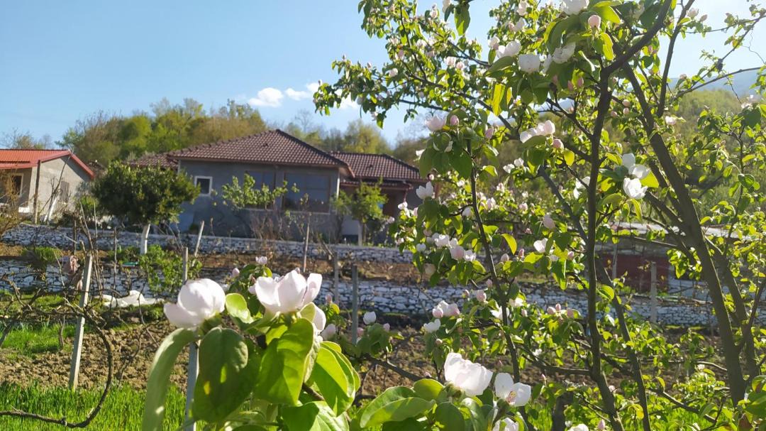 Photo of Outdoor in Albania