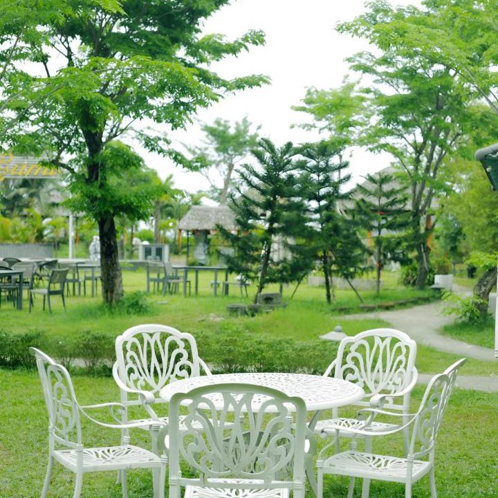 Photo of Others in Hoa Vang