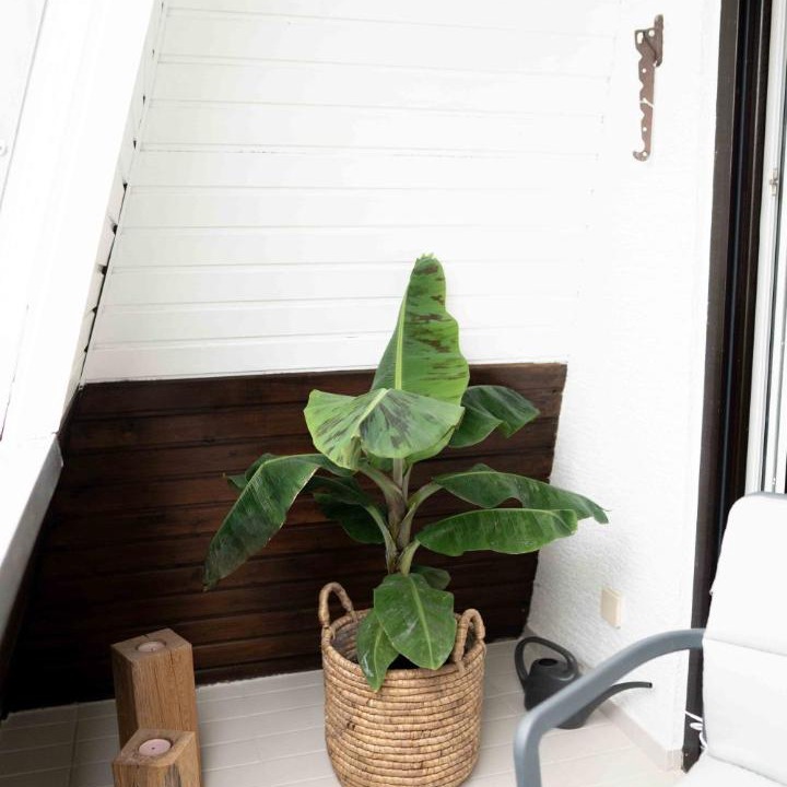 Photo of Patio Balcony in Wachenheim an der Weinstrasse