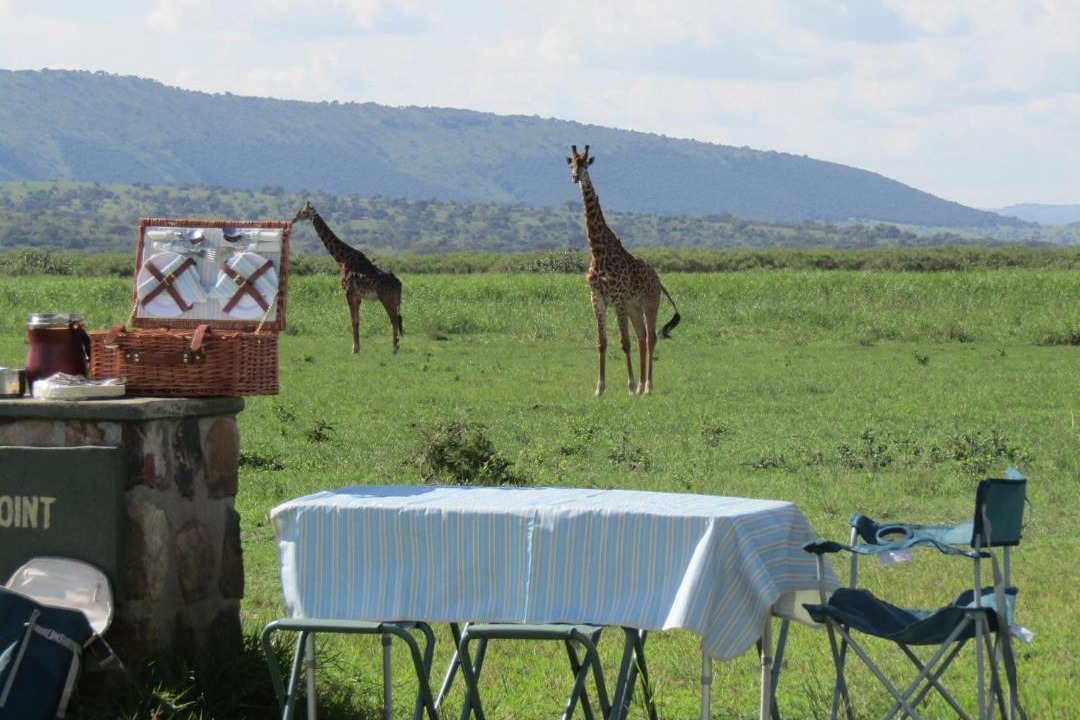 Photo of Others in Agakera National Park