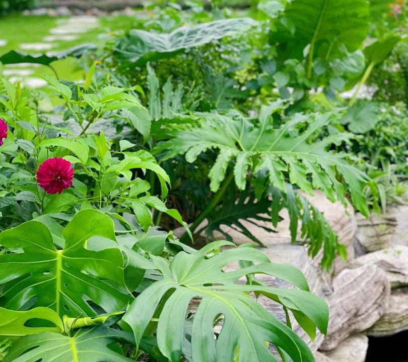 Photo of Outdoor in Hoa Lu