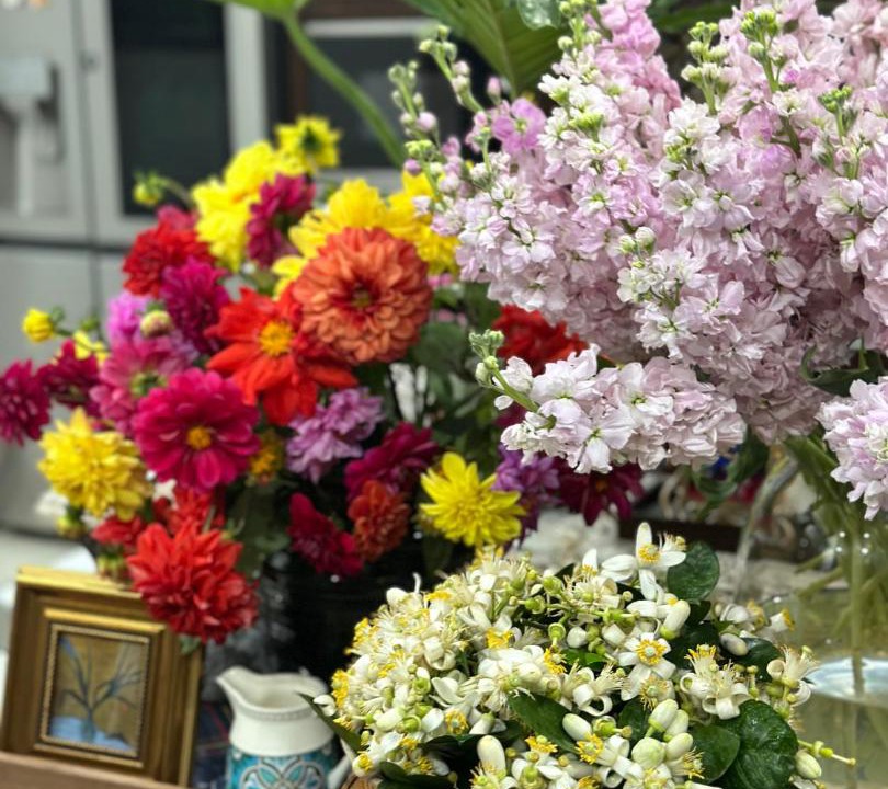 Photo of Others in Hoa Lu