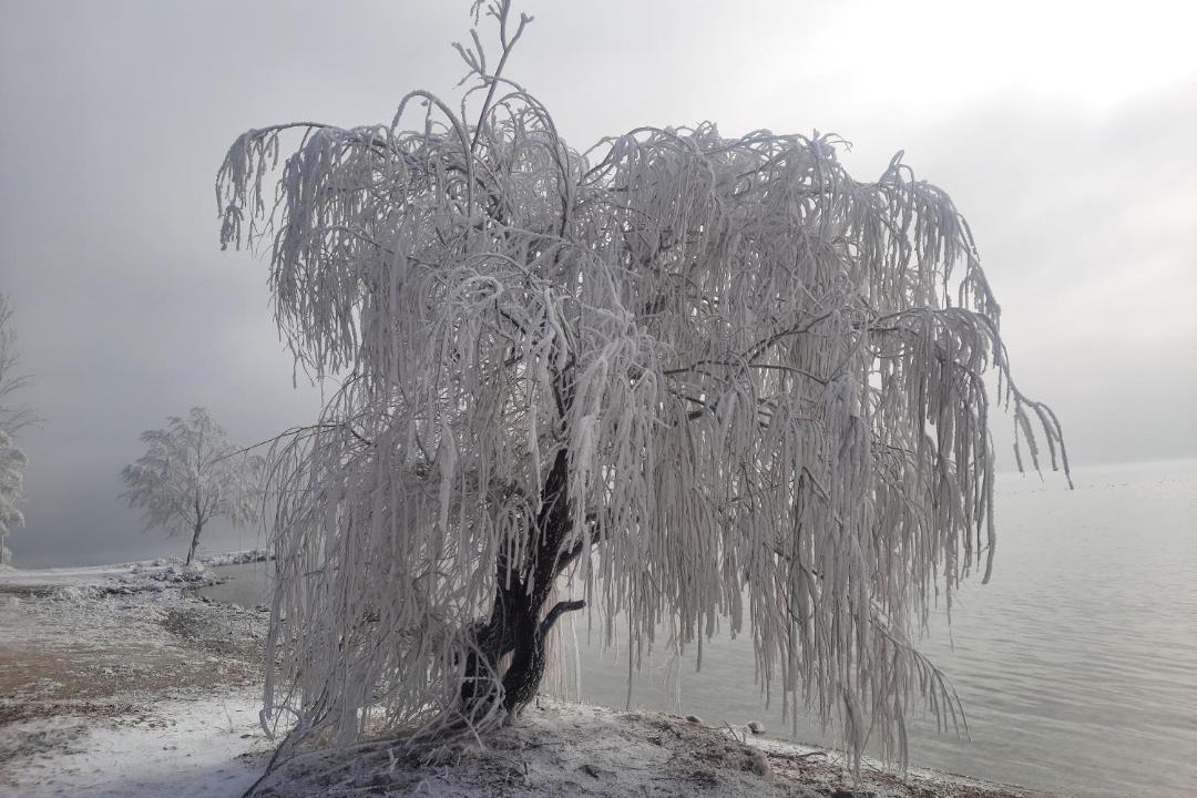Photo of Others in Sevan