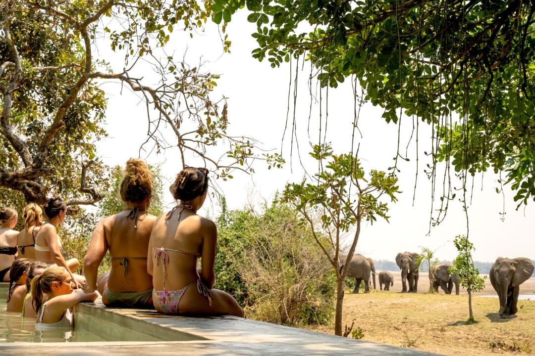 Photo of Others in South Luangwa National Park