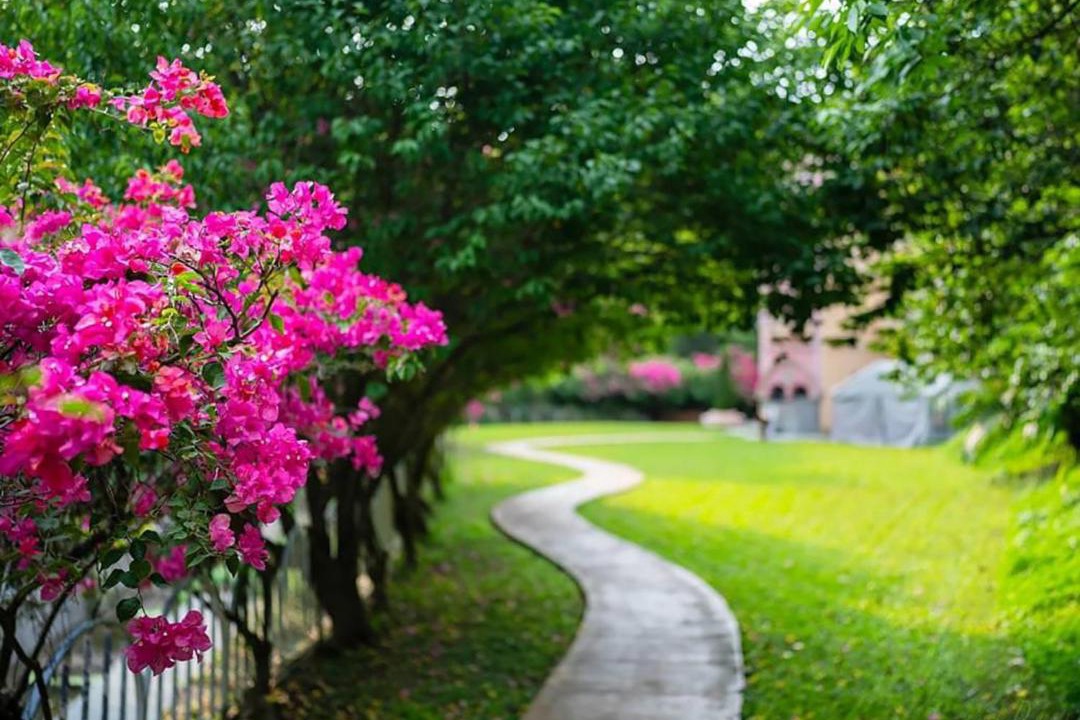 Photo of Outdoor in Zhuolan