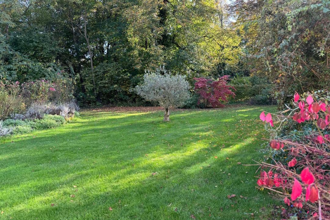 Photo of Outdoor in Auvernier