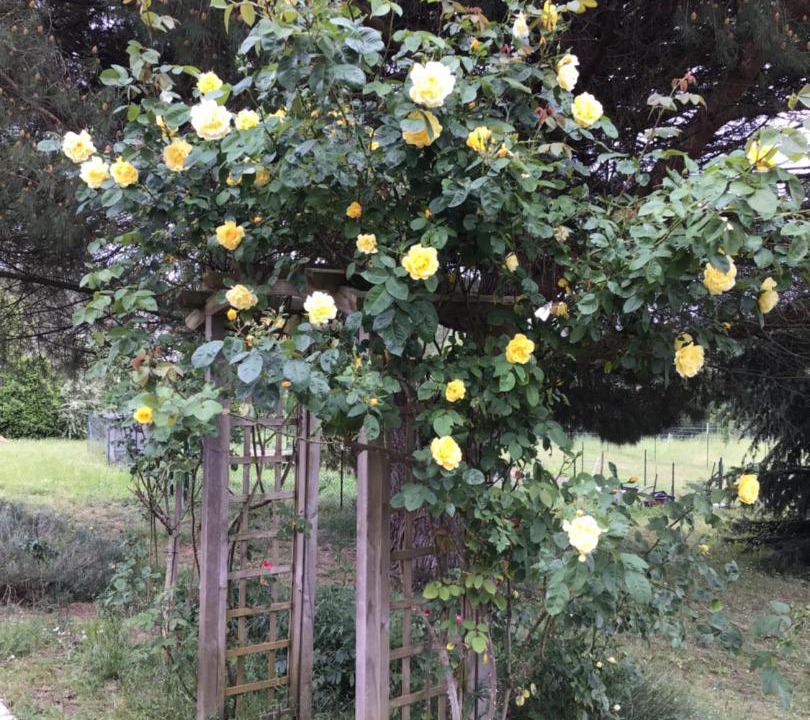 Photo of Outdoor in Civray-de-Touraine