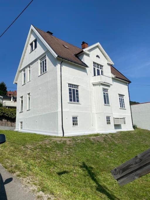 Photo of Others in Drammen