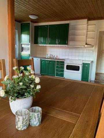 Photo of Kitchen in Rada
