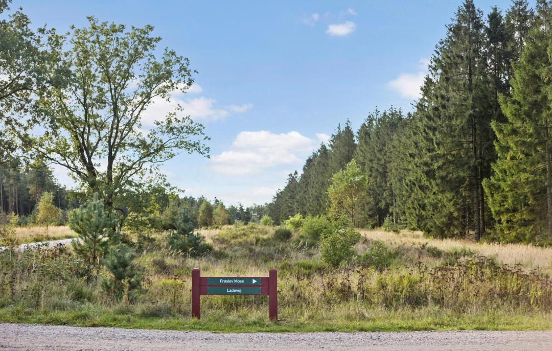 Photo of Others in Padborg