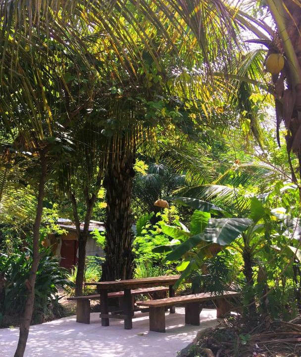 Photo of Outdoor in Kafountine