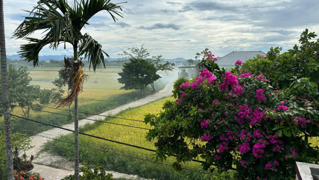 Photo of Others in Trieu Phong