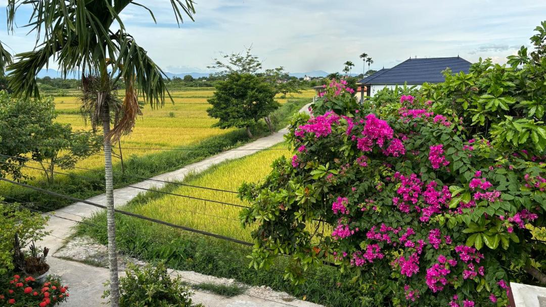 Photo of Others in Trieu Phong